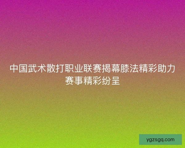 中国武术散打职业联赛揭幕膝法精彩助力赛事精彩纷呈