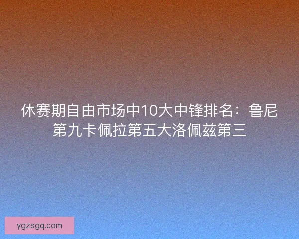 休赛期自由市场中10大中锋排名：鲁尼第九卡佩拉第五大洛佩兹第三