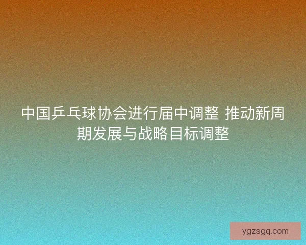 中国乒乓球协会进行届中调整 推动新周期发展与战略目标调整